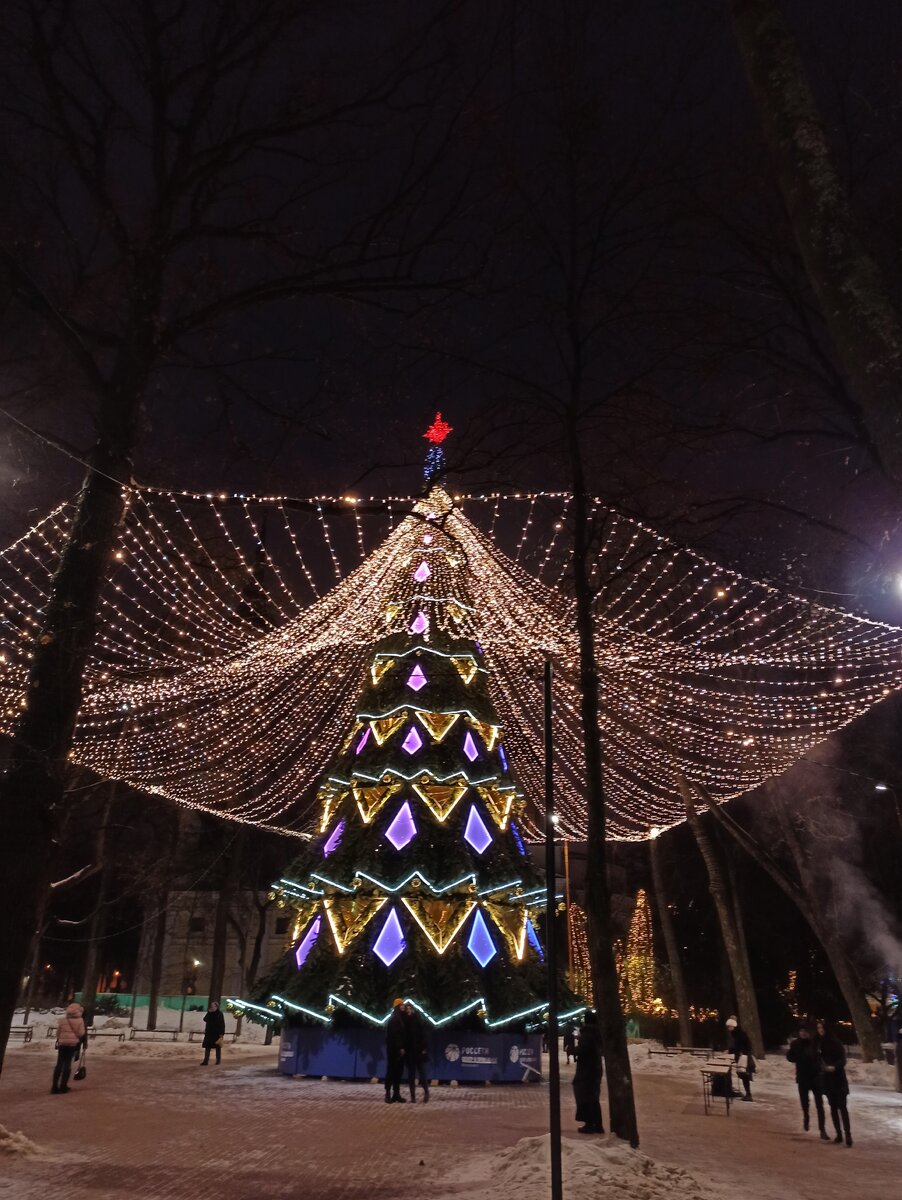 Зелёная красавица в Центральном парке культуры и отдыха