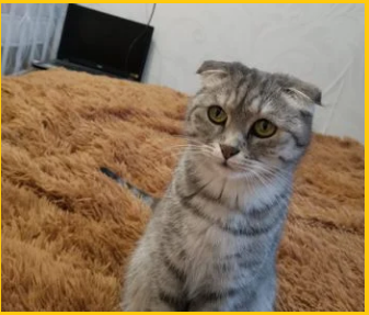 Вот и это красотка)) Ее зовут "Ева"