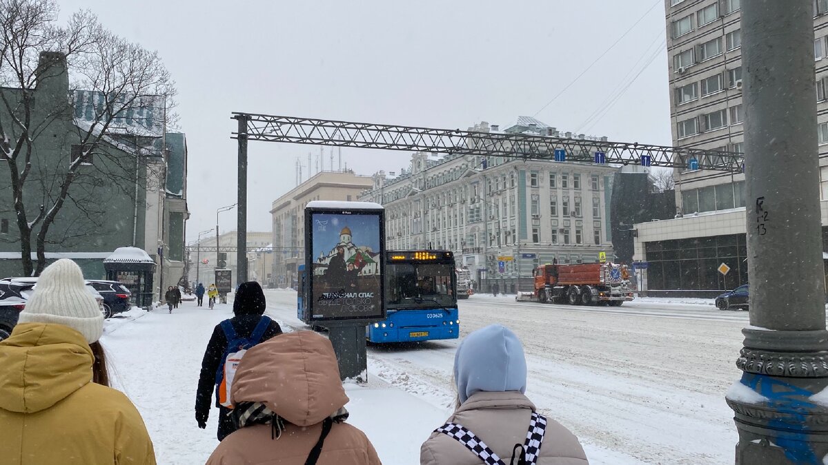 «Аптекарский огород» или где в зимней Москве можно встретить цефалотус?