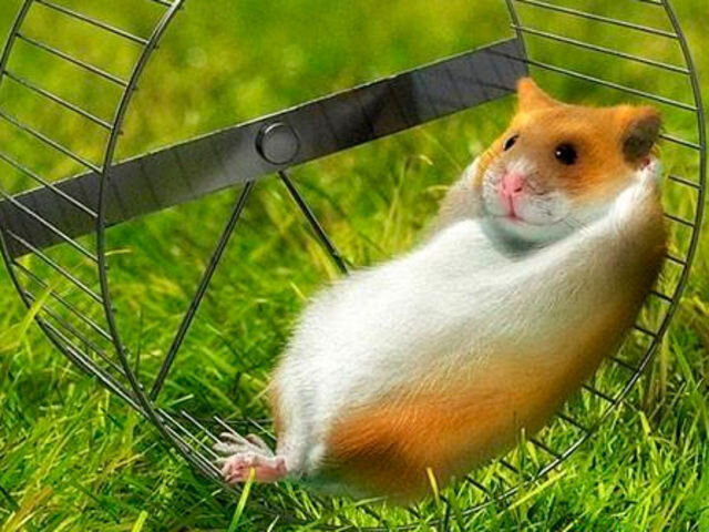 Фото с интернета