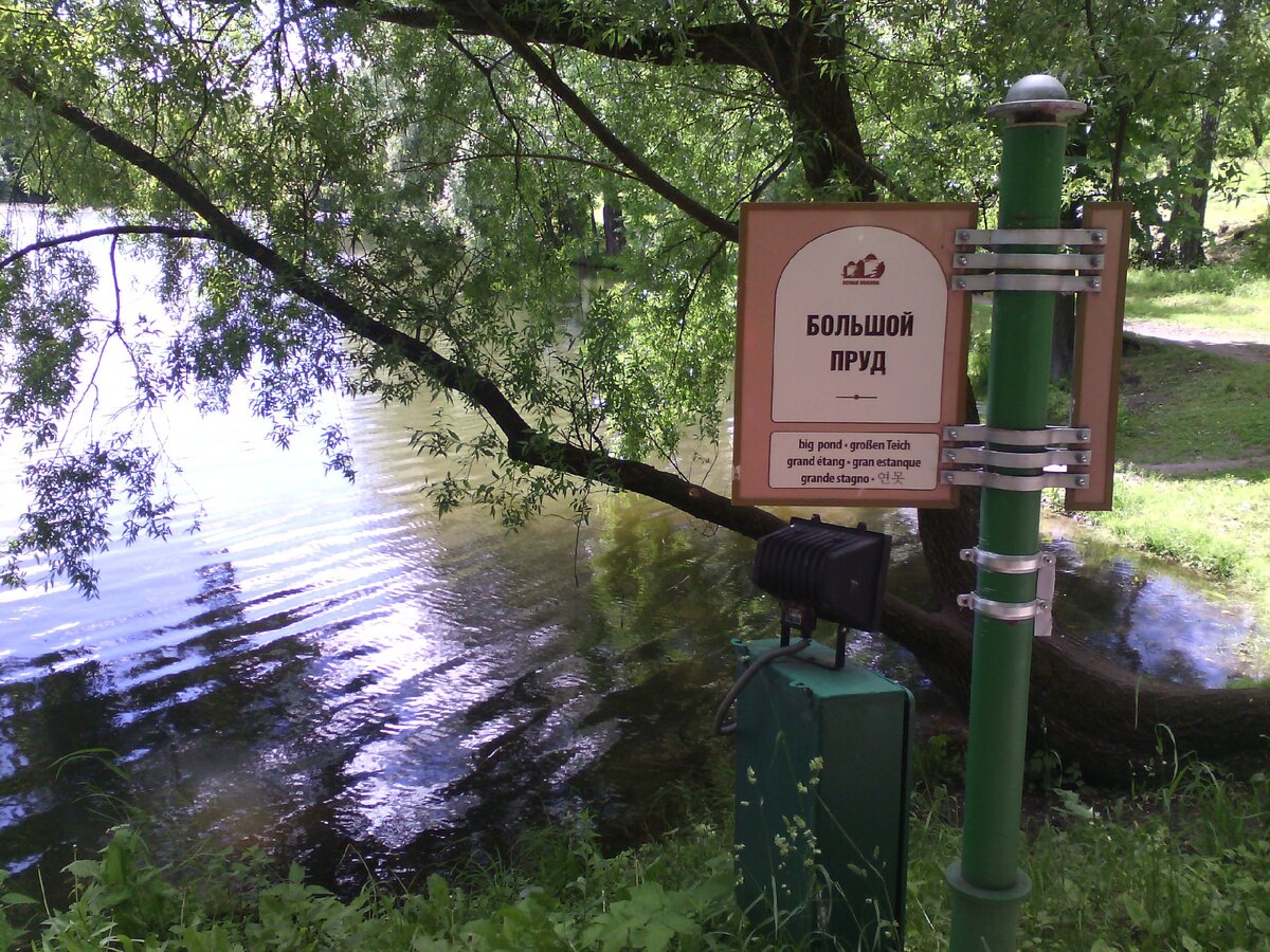 Один из прудов Ясной поляны