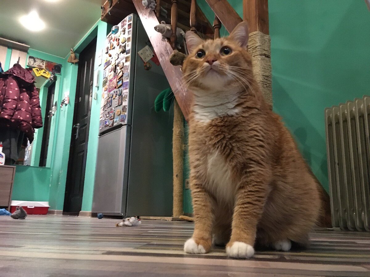 Это я (фотогеничный, правда же?)