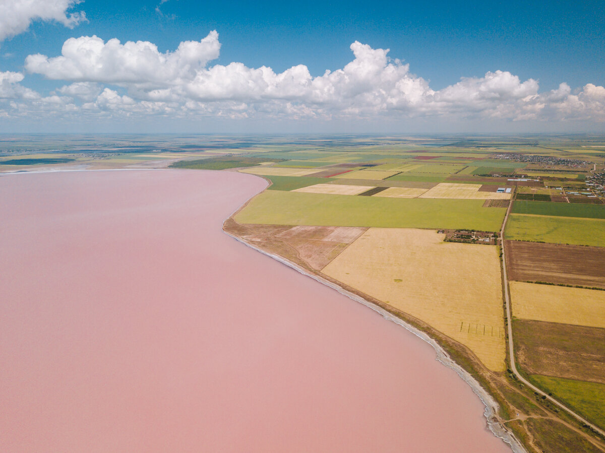 Озеро в австралии 3. ЖК розовое озеро. Розовое озеро в Австралии. Озеро Гарднер в Австралии.