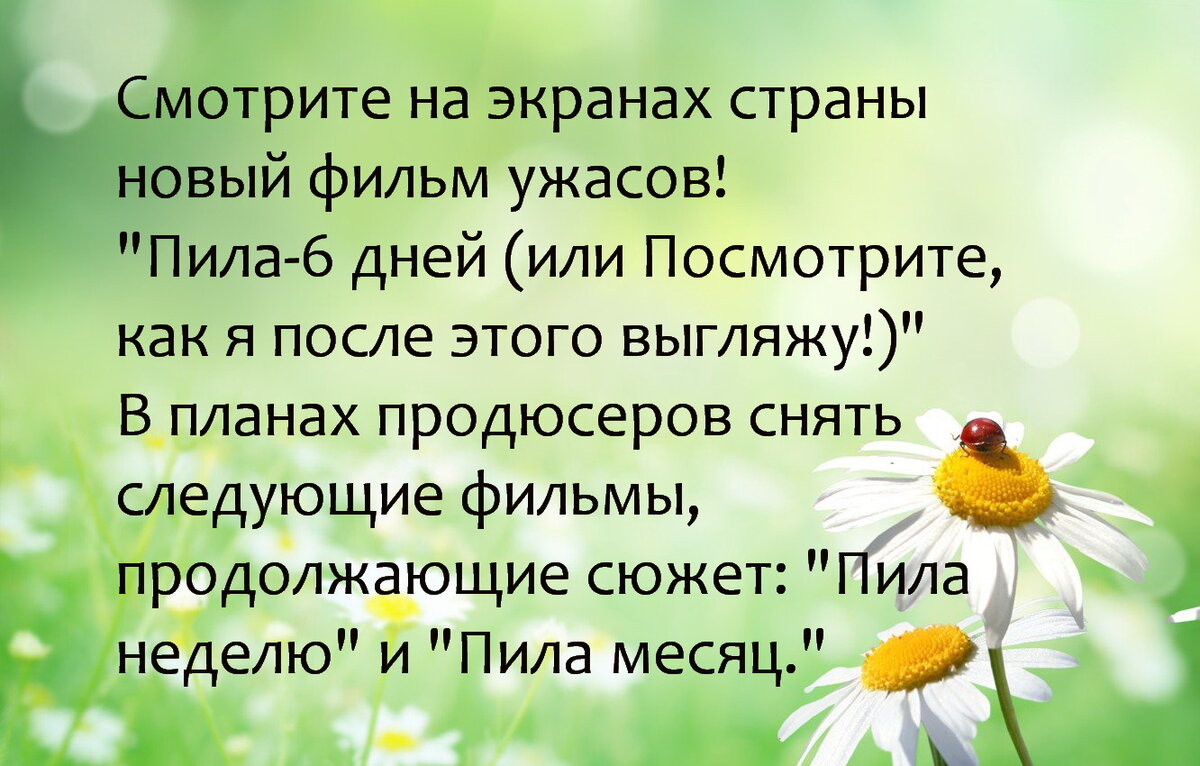 Сегодня ко мне в комнату залетел огромный шмель. Теперь это его  комната😄Юмор здесь. | Юморные просторы | Дзен