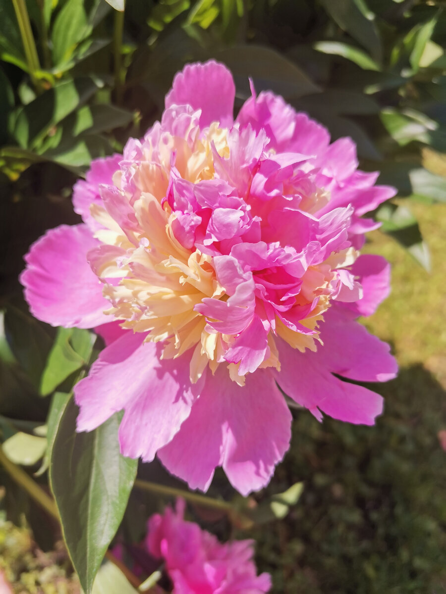 Фото автора 