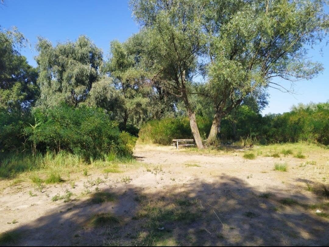 Летний отдых на пляже нашим смартфонам только вредит! 