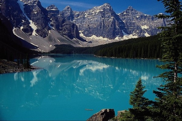 Картинка из интернета