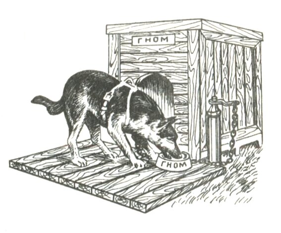 Рис. 1. Будка для собаки