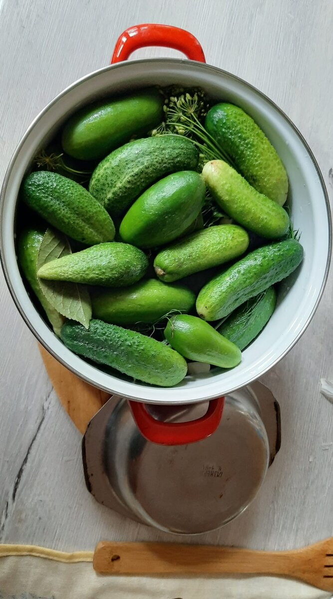 Фото из архива автора