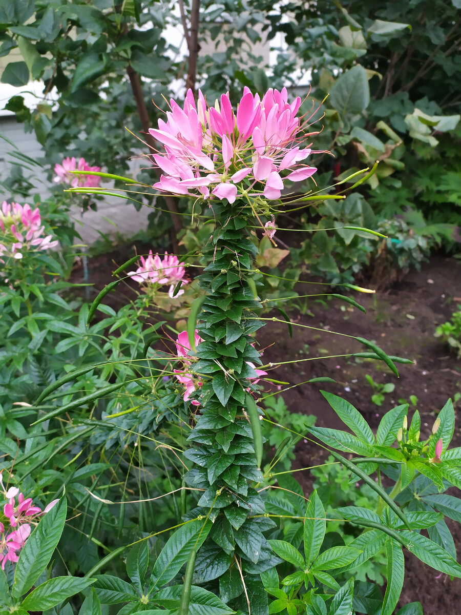 Создать неповторимую атмосферу...