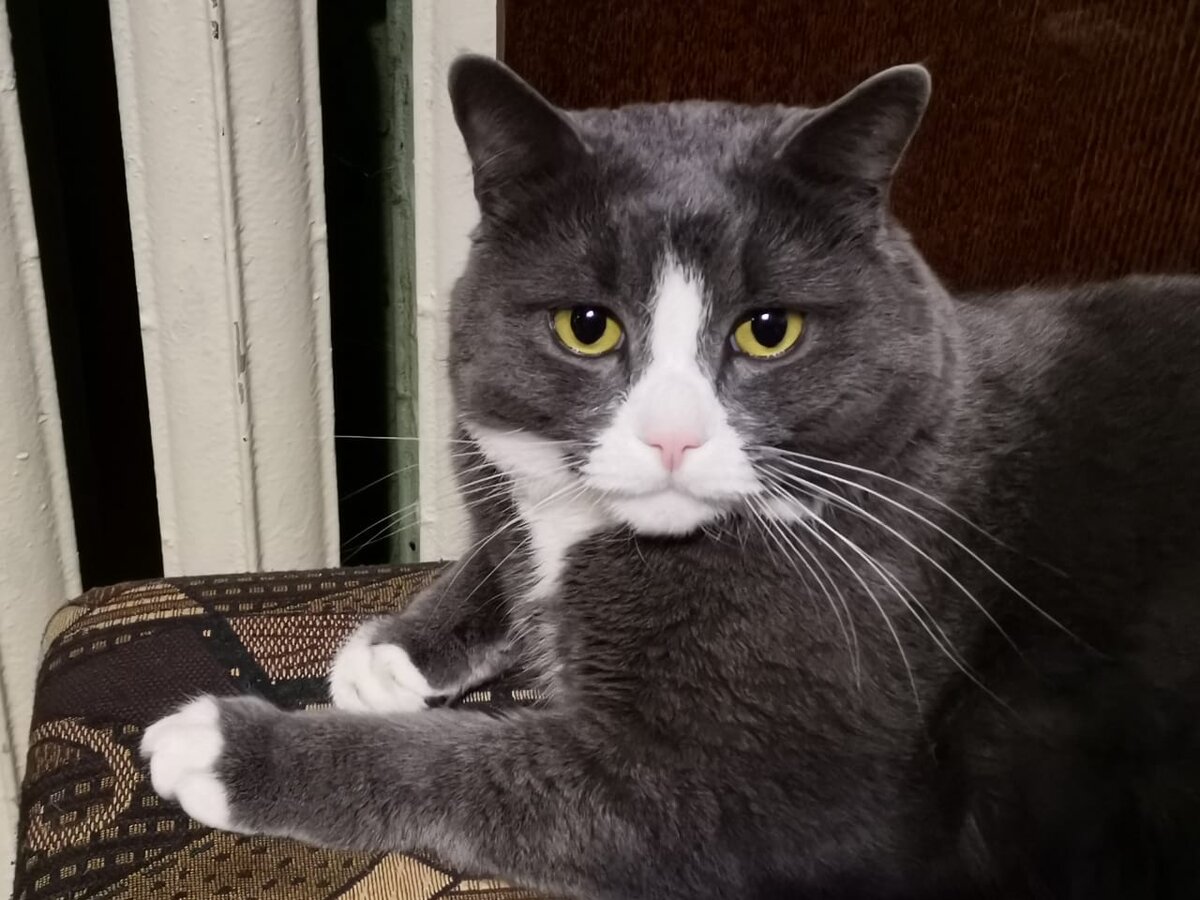 Вот этот мужчина никогда не бросит своих детей, т.к. не может их иметь🤣