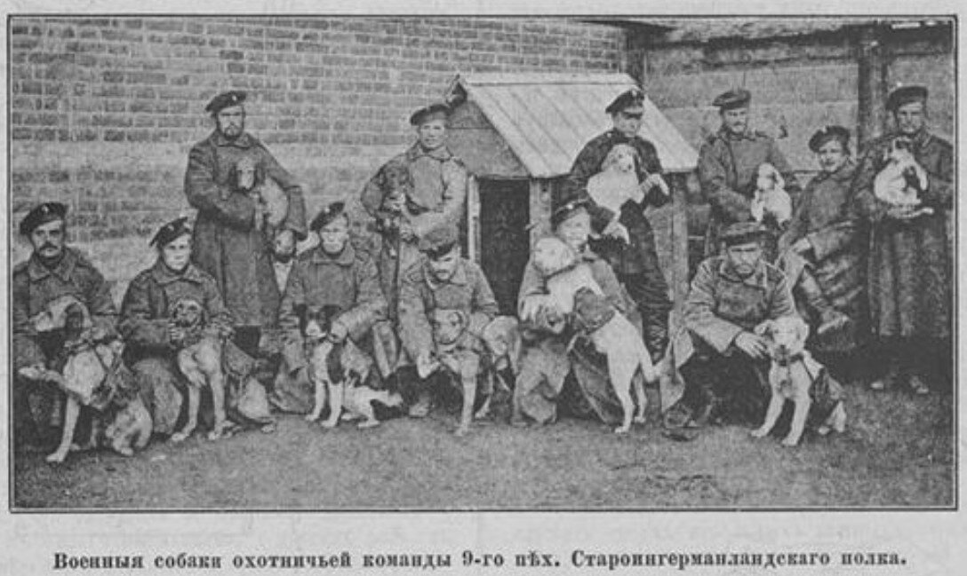 Фото из журнала "Разведчик".