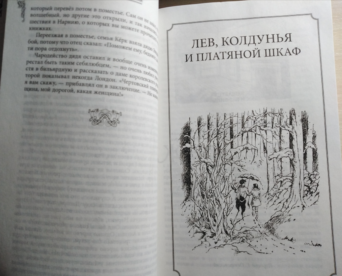 Страницы книги