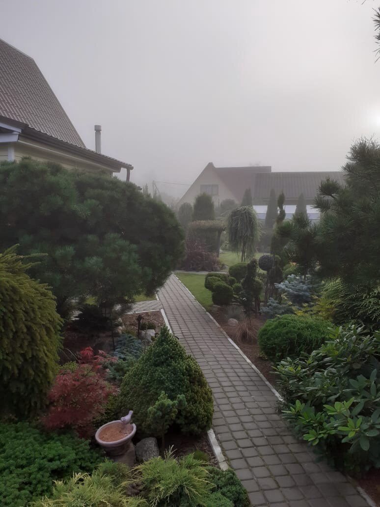 В саду у Ольги Молчановой