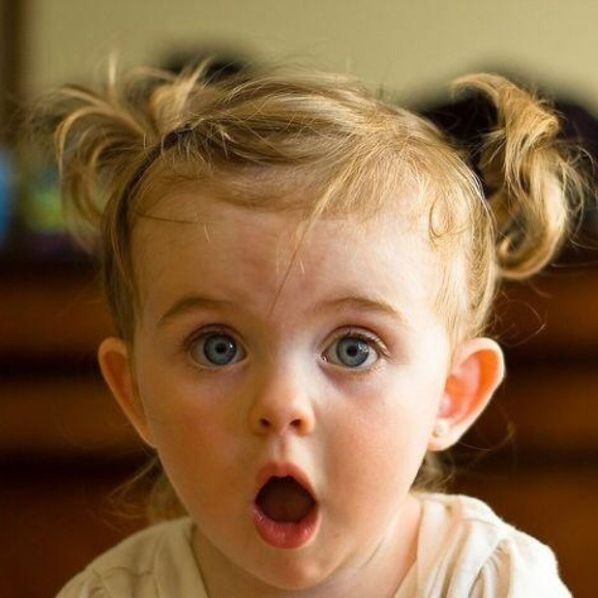 Фото: https://goo.su/9wbj