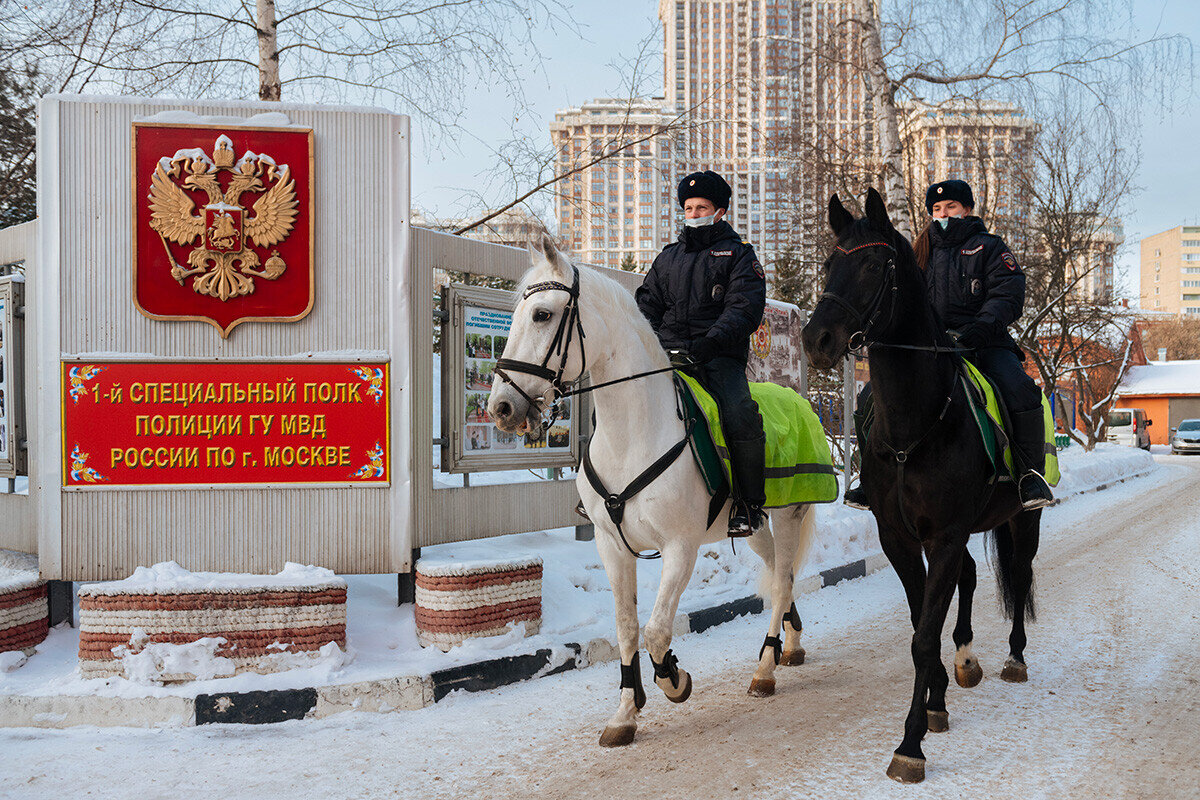 Как работает российская конная полиция (ФОТО) | Узнай Россию | Дзен