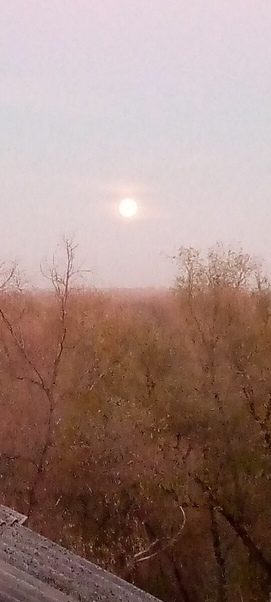 осеннее солнце 