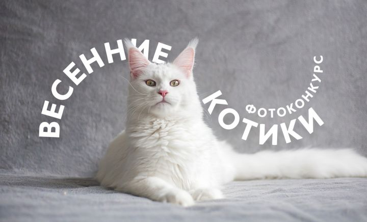 Победители будут определены в конце мая