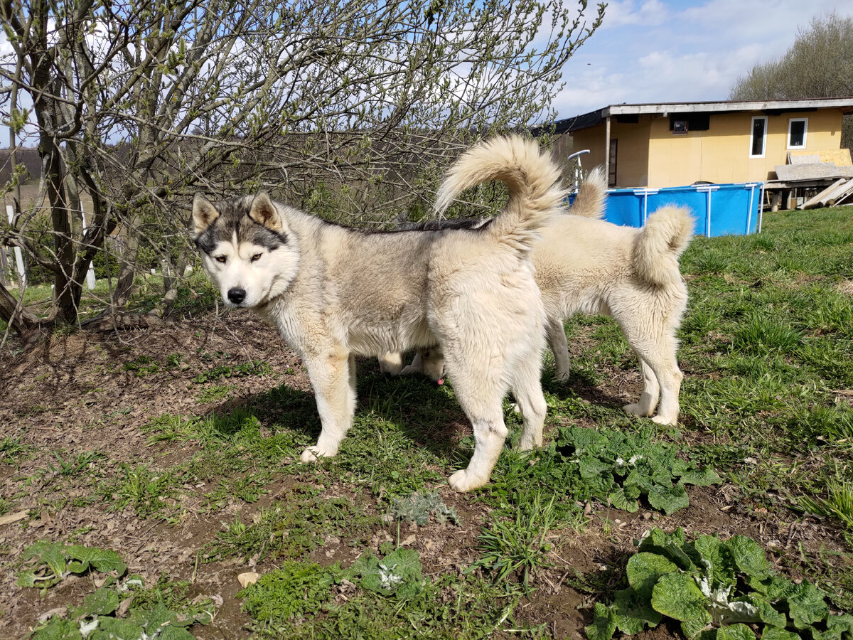 Наблюдаем на прогулке