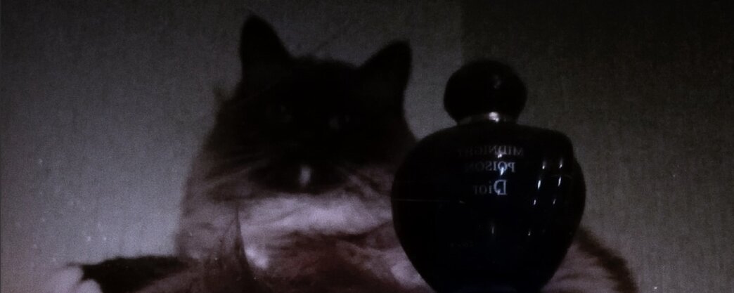 Типа загадочное фото