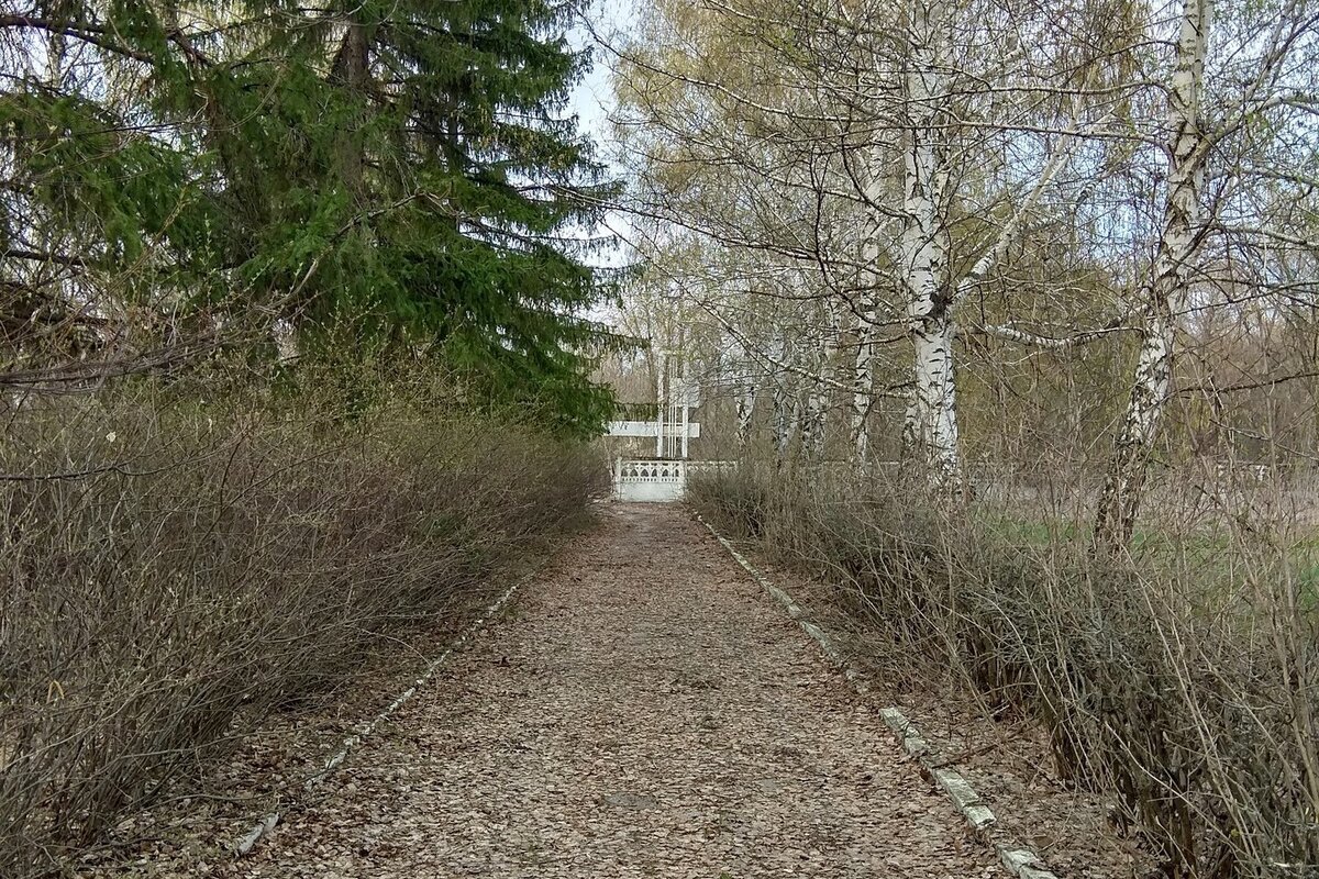 Входная аллея