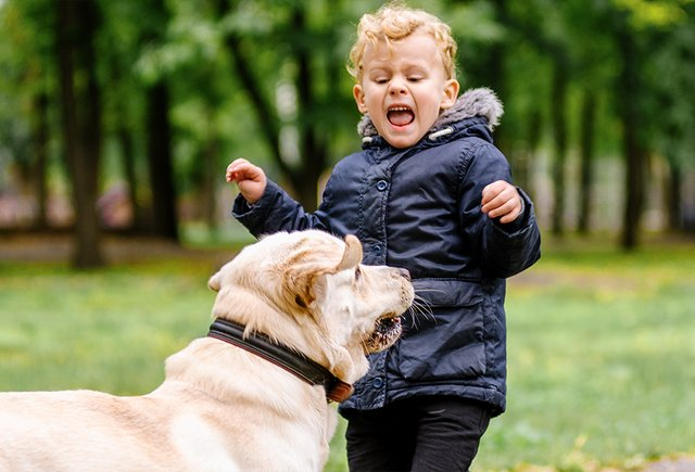 Изображение на обложке: Helen Sushitskaya / shutterstock / fotodom 