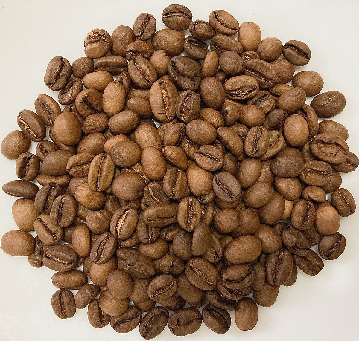 Местные разновидности типики, смесь из 430 мелких ферм в высокогорном регионе Буку - более 2300 метров над уровнем моря (чем выше растет кофейное дерево, тем больше у него вкусовой потенциал - из-за более длительного созревания ягоды и перепада температур). Сразу бросается в глаза размер зерен - мелкие, похоже, это следствие большой высоты произрастания, а так же анаэробной обработки (сколько длилась ферментация в бескислородной среде - не указано, но по букету и внешнему виду предположу, что не более 72 часов). И, как результат вышеописанного, плотность зерен высокая - перемалываются с усилием.