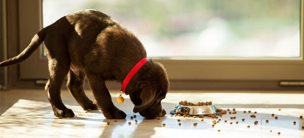 Решение проблемы