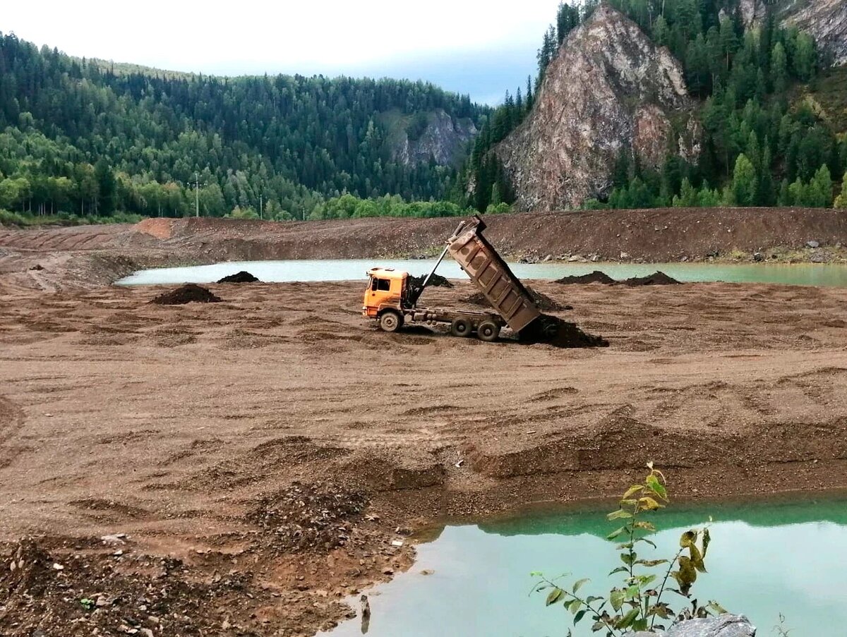 Добрые всходы видны через годы | СИБЗОЛОТО | Дзен