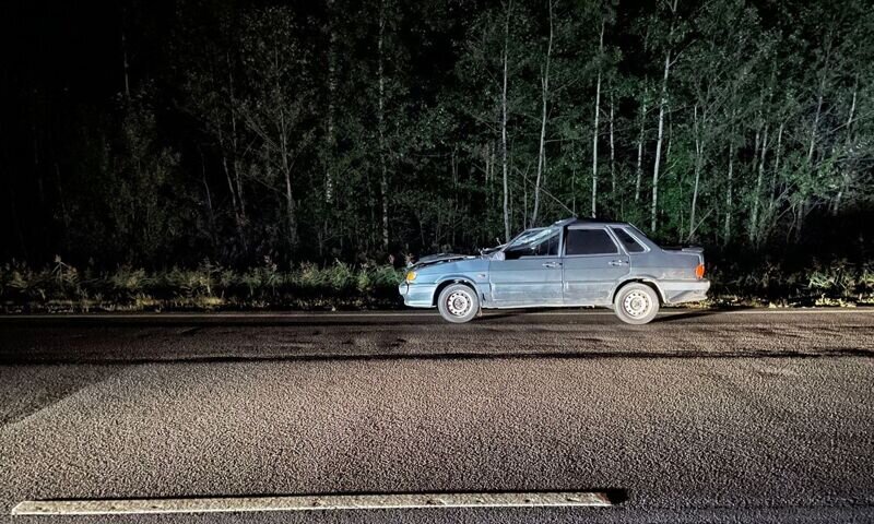     лось Фото: yaroslavl.bezformata.com