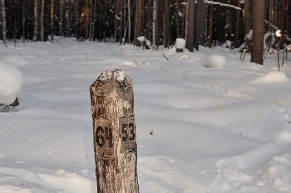    Спасатели девять часов искали пропавшую в лесу туристку на Южном Урале