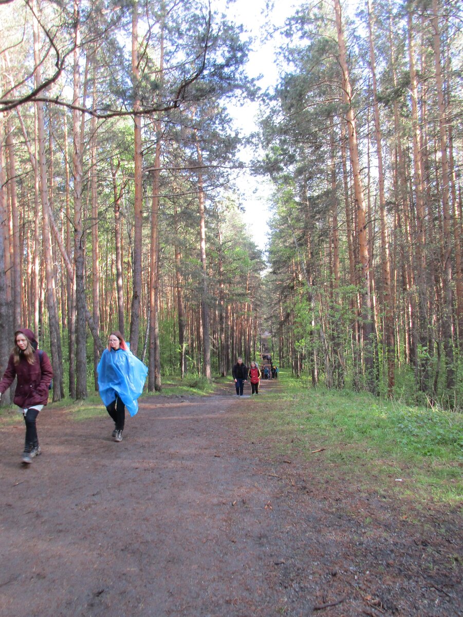 Участники Майской прогулки, 2019