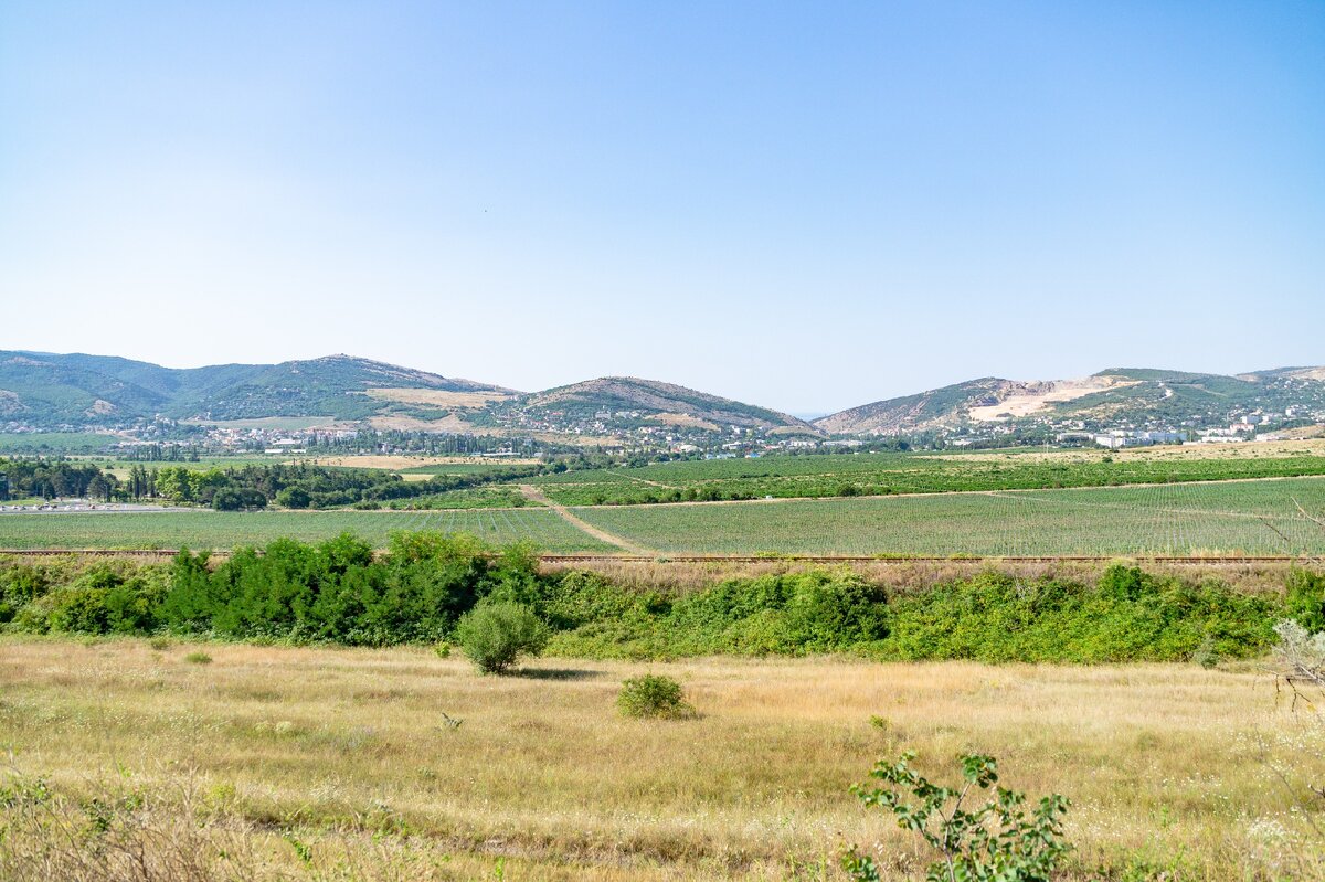 2. Виноградники Золотой балки к западу от дороги.