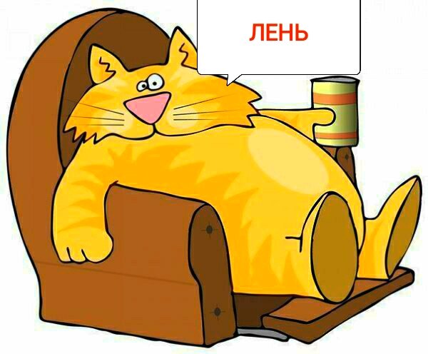 Ленивый котик😂