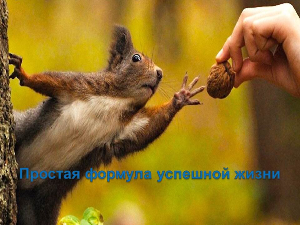 Успех в социуме