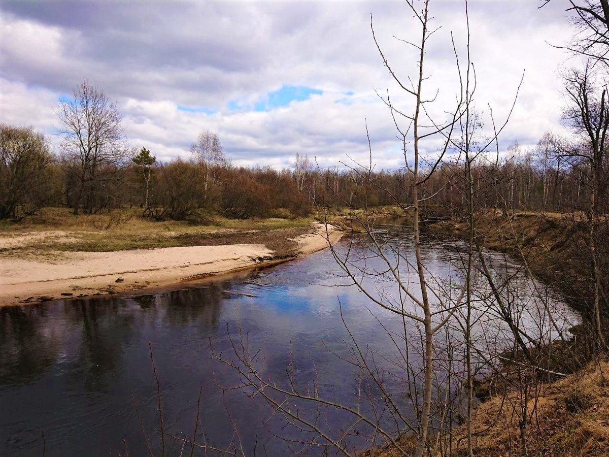 А на природе волшебно. Особенно отчетливо это чувствуешь после продолжительного заточения в четырех стенах
