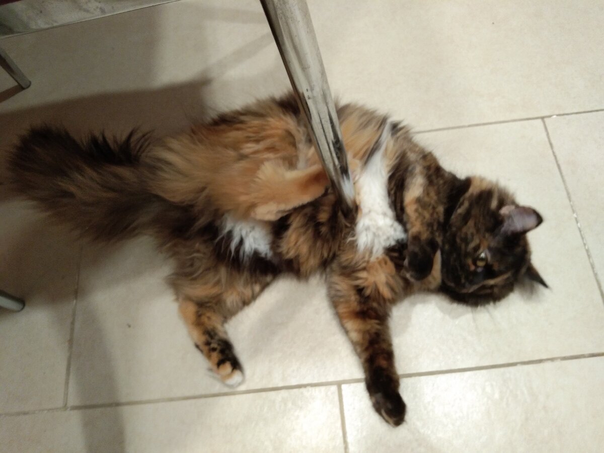 Нам так удобно:)