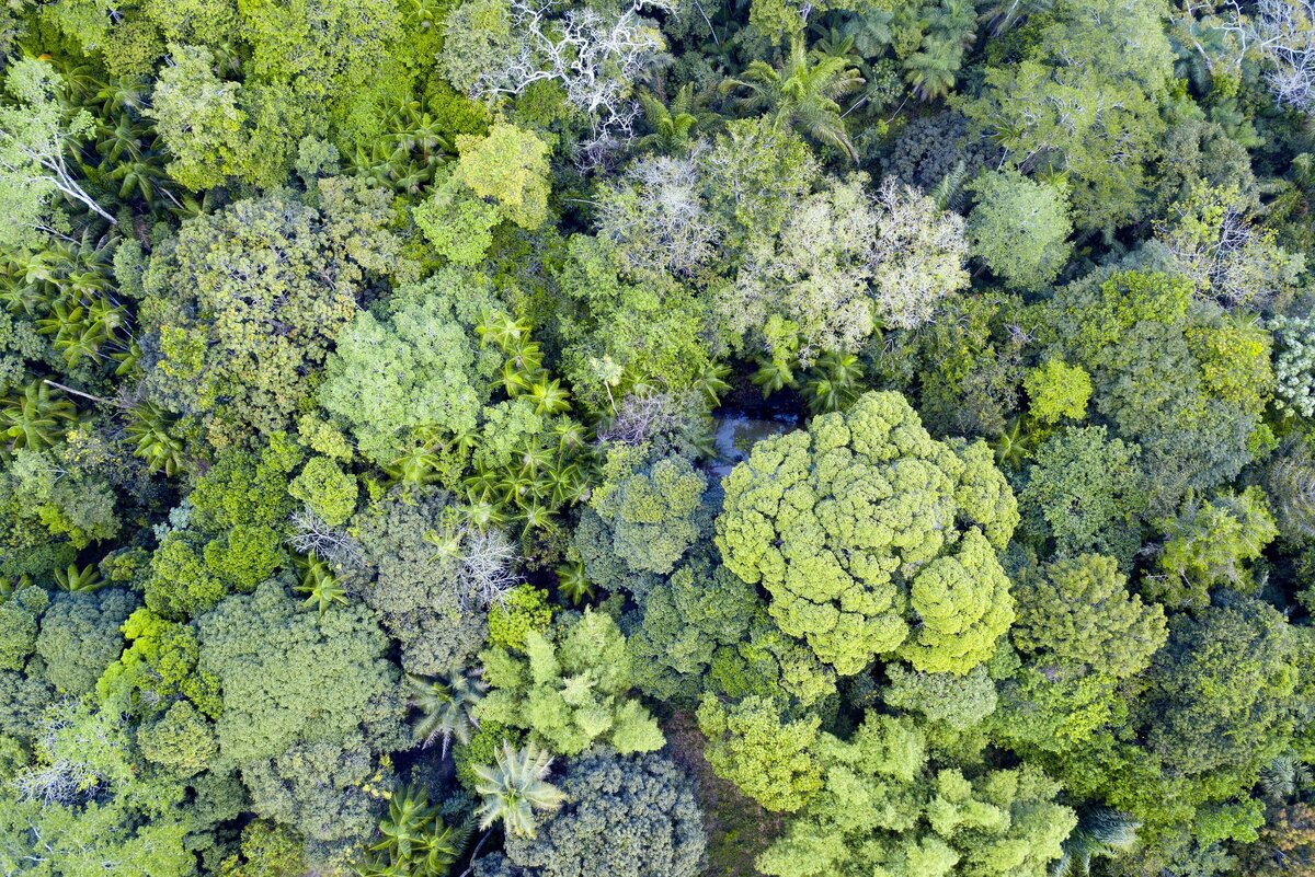 RICARDO LIMA / GETTY IMAGES