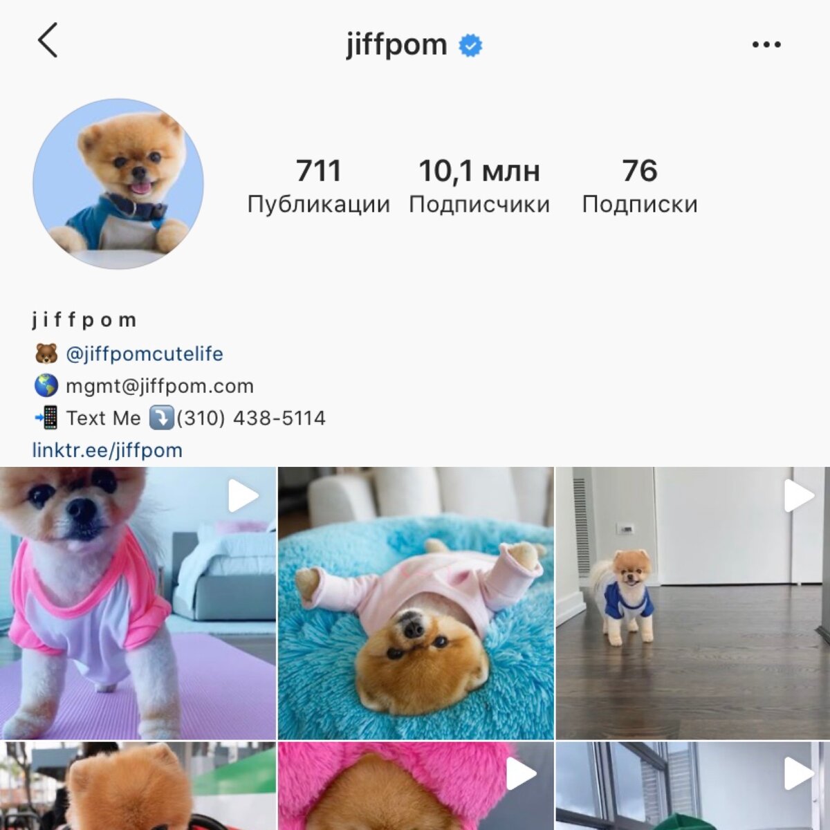 10,1 млн подписчиков в Instagram | @jiffpom