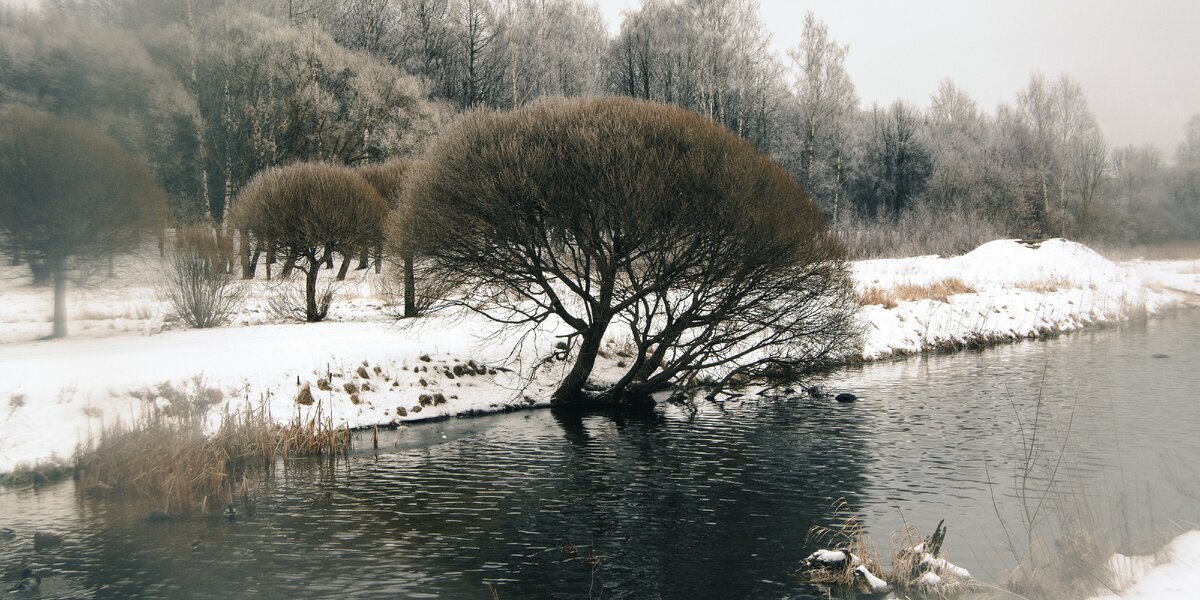 р. Талка, 12.01.20 г.