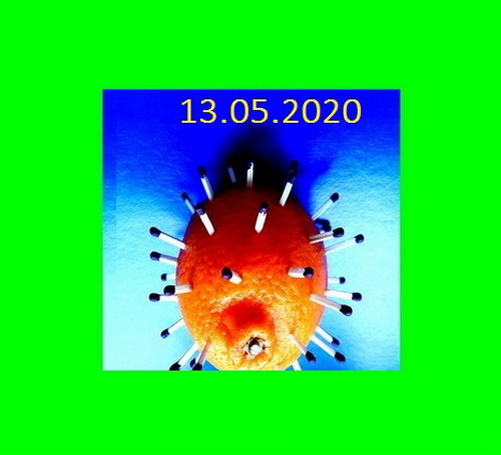 Фото автора. 13 мая