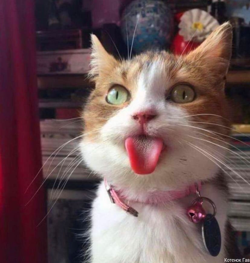 Источник: pinterest.cоm