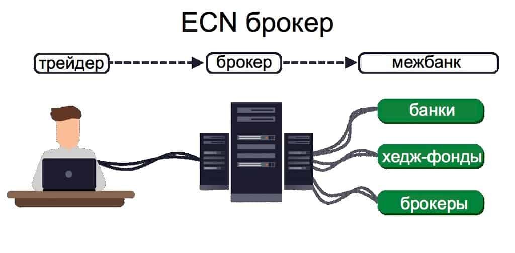 Банки брокеры. ECN брокер. Форекс брокер ECN. STP брокер. Лучший ECN брокер