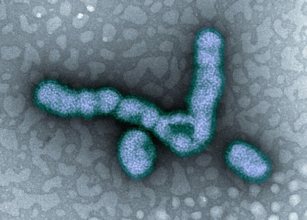 Взято из яндекс картинок. Статья из внешнего источника.