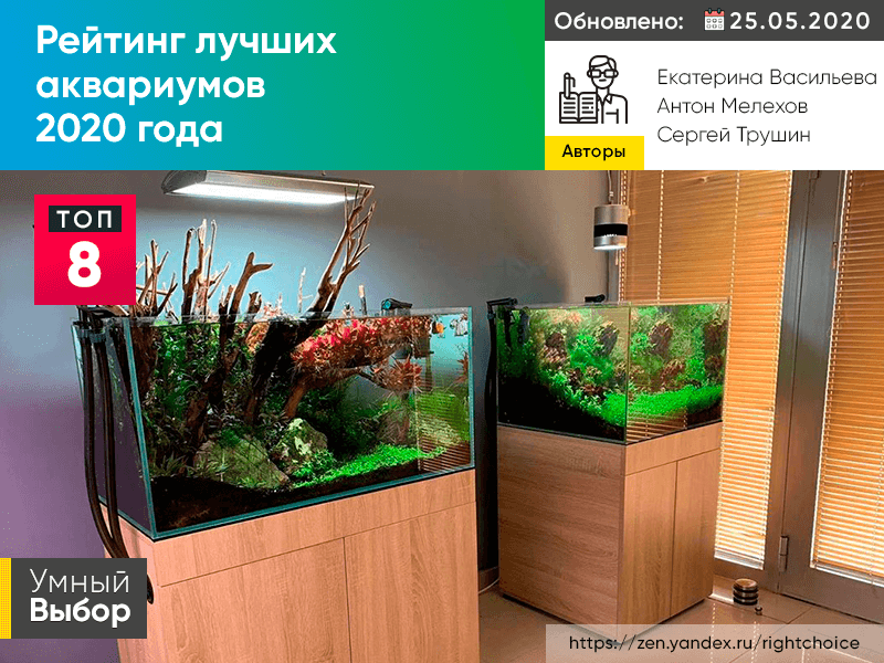 Определен победитель первого конкурса sera Aquascaping Challenge | Обслуживание | sera