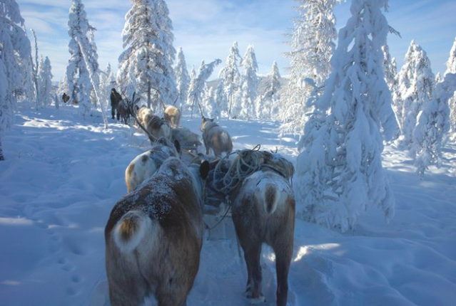 Фото Леонида Круглова. Кадр из его документального фильма "Великий северный путь".