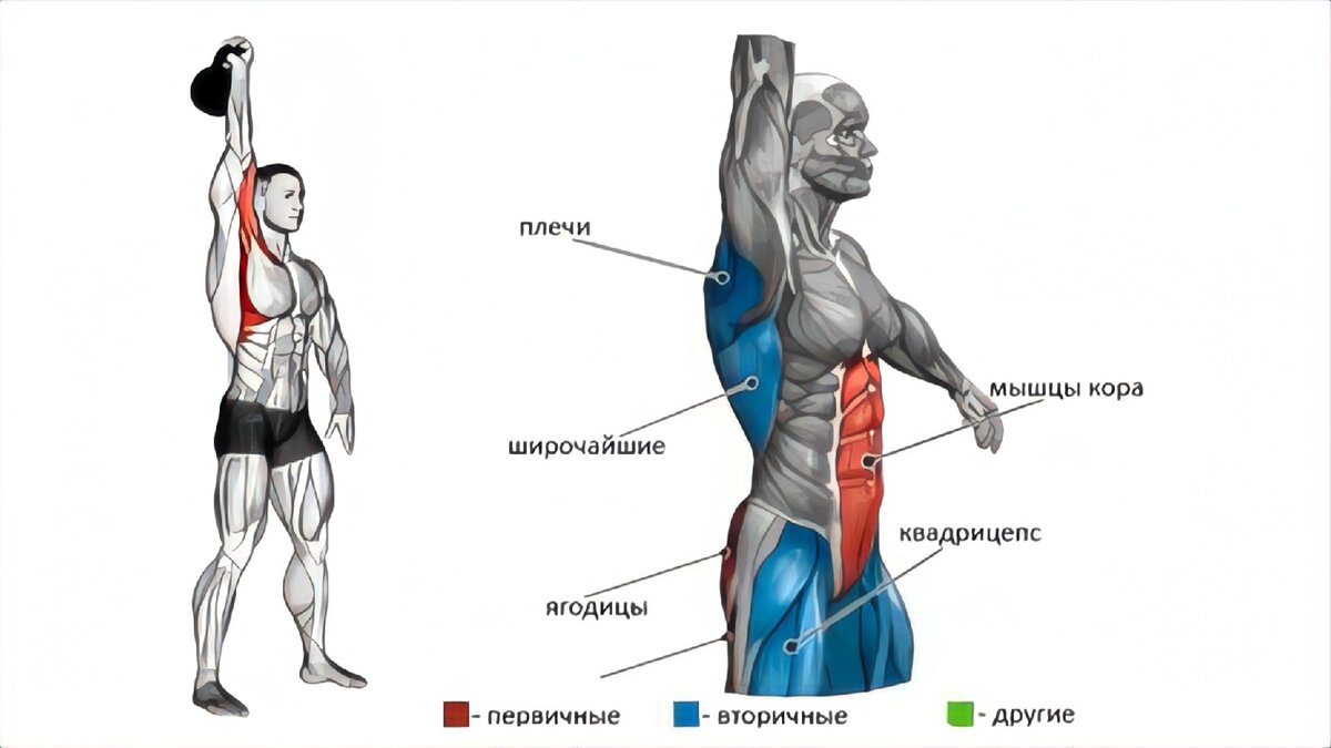 Гиря мышцы. Армейский жим гири какие мышцы работают. Какие мышцы работают с шиоей. Какие мышцы работают с г Рей. Группы мышц при поднятии гирь.