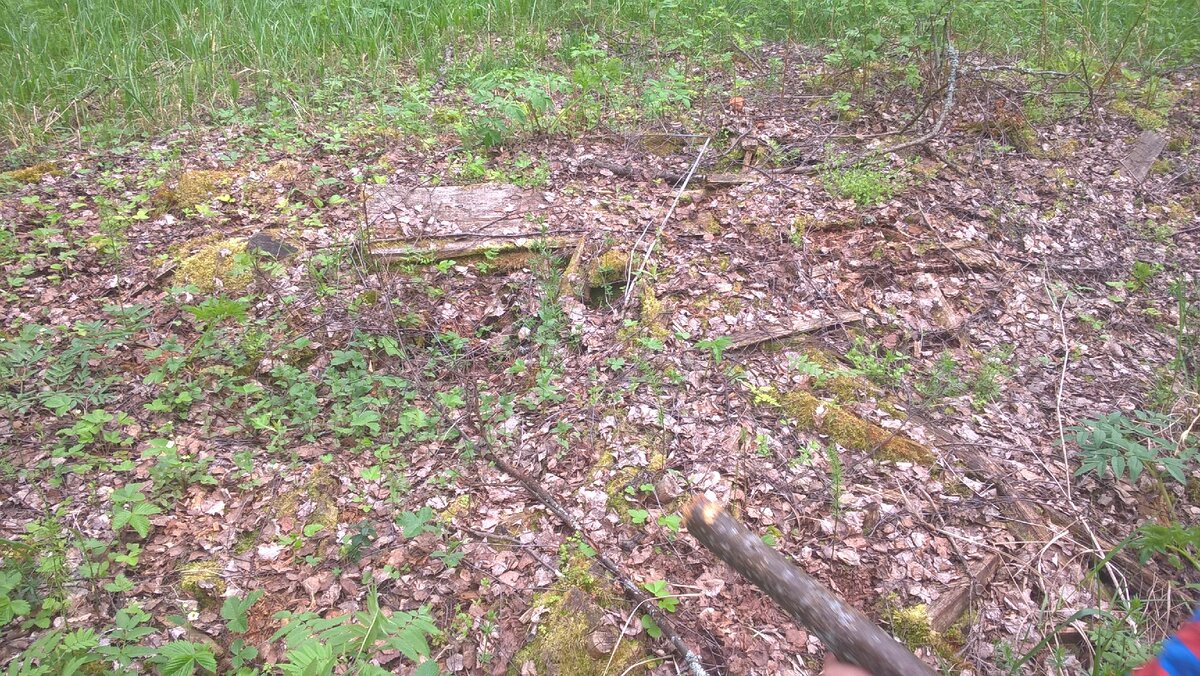 Перегнившие доски 