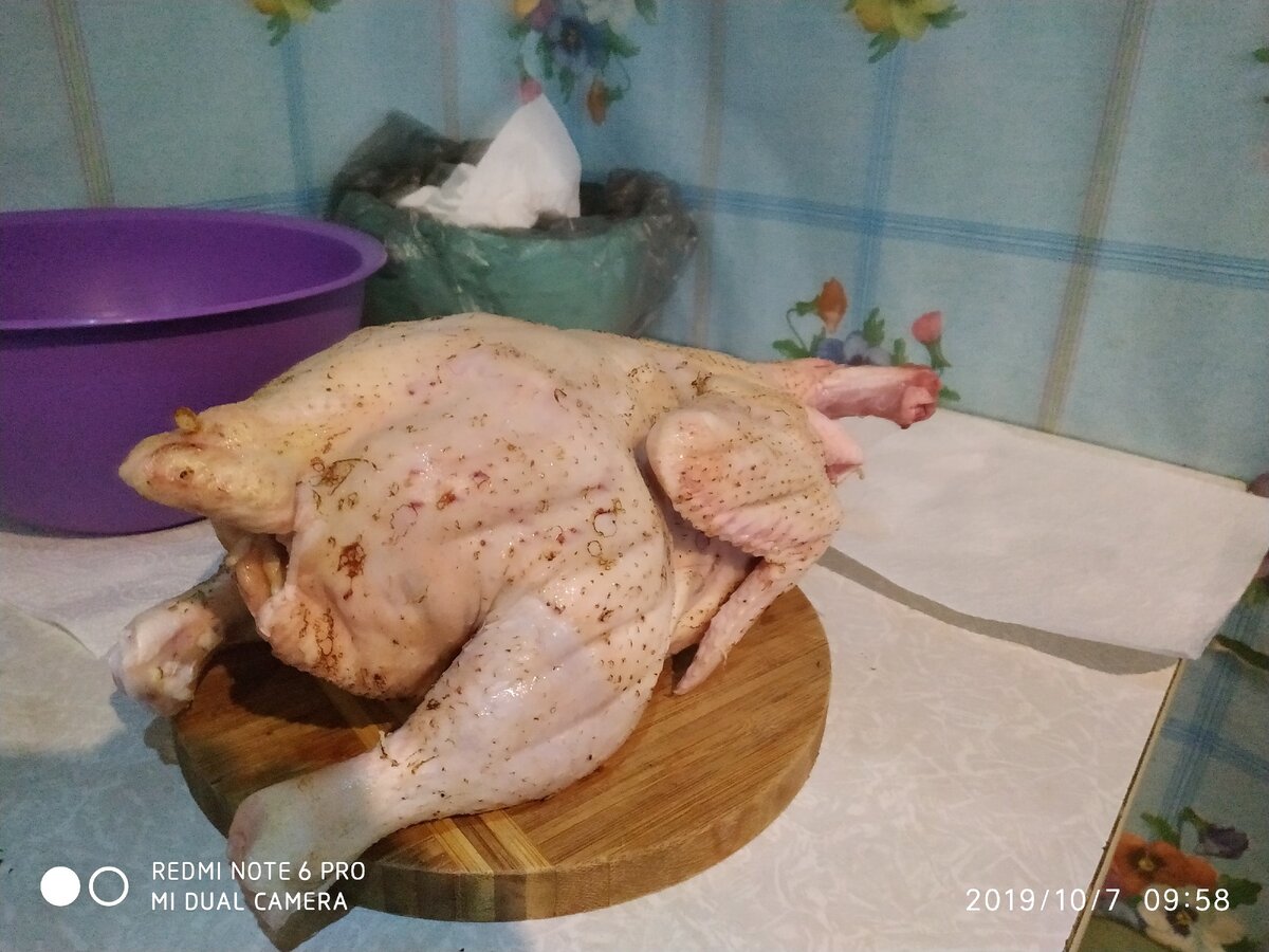 мой цыпленок на переработку
