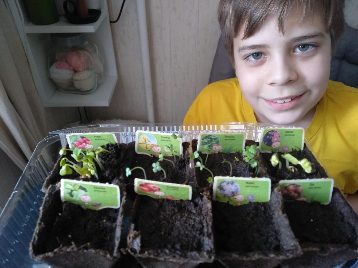 Разнообразные занятия